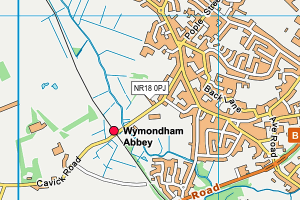 NR18 0PJ map - OS VectorMap District (Ordnance Survey) NR18 0PJ map - OS VectorMap District (Ordnance Survey)