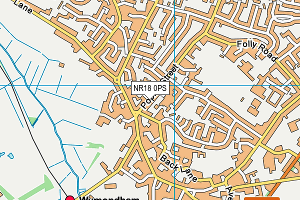 NR18 0PS map - OS VectorMap District (Ordnance Survey)