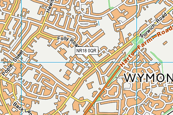 NR18 0QR map - OS VectorMap District (Ordnance Survey) NR18 0QR map - OS VectorMap District (Ordnance Survey)