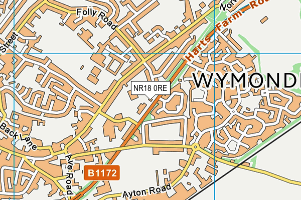 NR18 0RE map - OS VectorMap District (Ordnance Survey) NR18 0RE map - OS VectorMap District (Ordnance Survey)