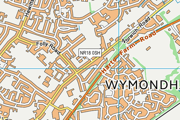 NR18 0SH map - OS VectorMap District (Ordnance Survey) NR18 0SH map - OS VectorMap District (Ordnance Survey)