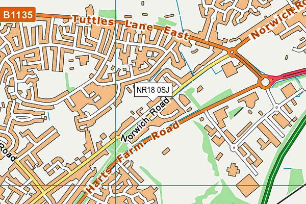 NR18 0SJ map - OS VectorMap District (Ordnance Survey)