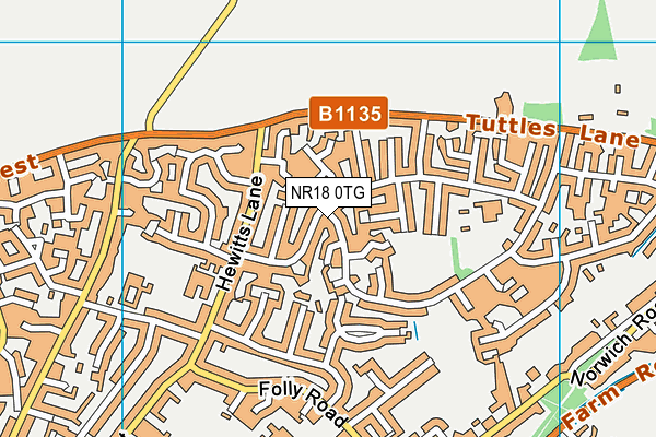 NR18 0TG map - OS VectorMap District (Ordnance Survey) NR18 0TG map - OS VectorMap District (Ordnance Survey)