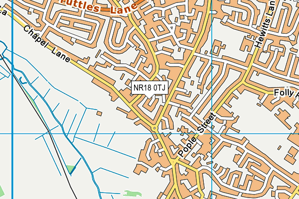 NR18 0TJ map - OS VectorMap District (Ordnance Survey) NR18 0TJ map - OS VectorMap District (Ordnance Survey)