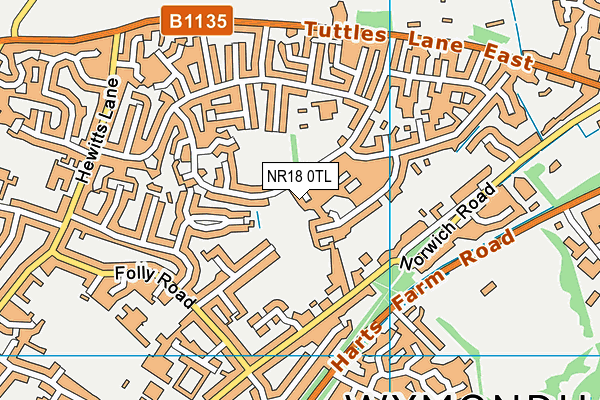 NR18 0TL map - OS VectorMap District (Ordnance Survey) NR18 0TL map - OS VectorMap District (Ordnance Survey)