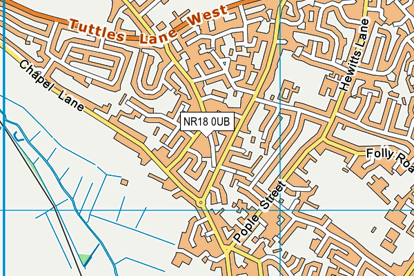 NR18 0UB map - OS VectorMap District (Ordnance Survey) NR18 0UB map - OS VectorMap District (Ordnance Survey)
