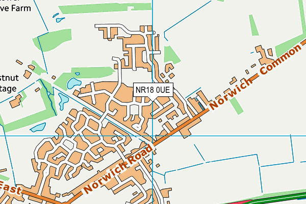 NR18 0UE map - OS VectorMap District (Ordnance Survey) NR18 0UE map - OS VectorMap District (Ordnance Survey)