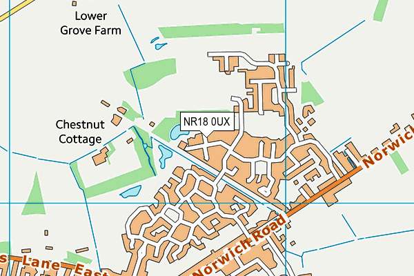 NR18 0UX map - OS VectorMap District (Ordnance Survey) NR18 0UX map - OS VectorMap District (Ordnance Survey)