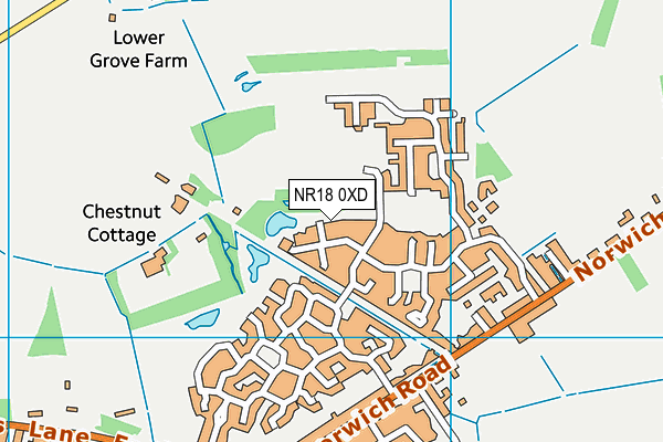 NR18 0XD map - OS VectorMap District (Ordnance Survey) NR18 0XD map - OS VectorMap District (Ordnance Survey)