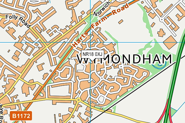 NR18 0XJ map - OS VectorMap District (Ordnance Survey) NR18 0XJ map - OS VectorMap District (Ordnance Survey)