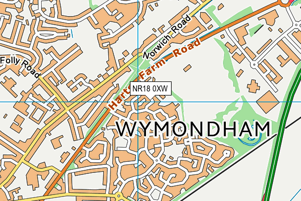 NR18 0XW map - OS VectorMap District (Ordnance Survey)