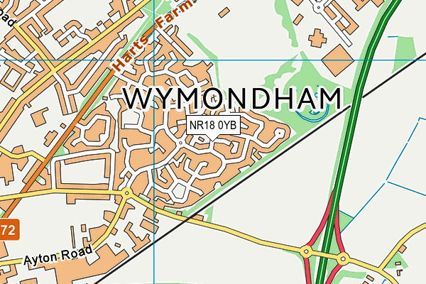 NR18 0YB map - OS VectorMap District (Ordnance Survey) NR18 0YB map - OS VectorMap District (Ordnance Survey)