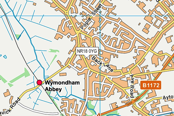 NR18 0YG map - OS VectorMap District (Ordnance Survey)