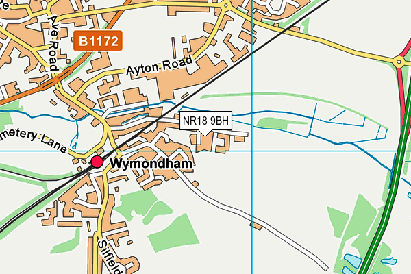 NR18 9BH map - OS VectorMap District (Ordnance Survey) NR18 9BH map - OS VectorMap District (Ordnance Survey)