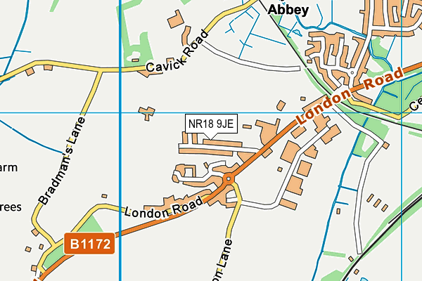 NR18 9JE map - OS VectorMap District (Ordnance Survey) NR18 9JE map - OS VectorMap District (Ordnance Survey)