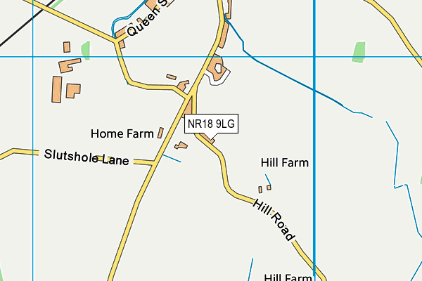 NR18 9LG map - OS VectorMap District (Ordnance Survey)