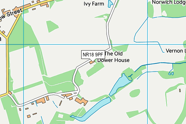 NR18 9PF map - OS VectorMap District (Ordnance Survey) NR18 9PF map - OS VectorMap District (Ordnance Survey)