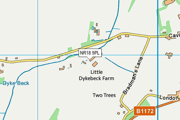 NR18 9PL map - OS VectorMap District (Ordnance Survey) NR18 9PL map - OS VectorMap District (Ordnance Survey)