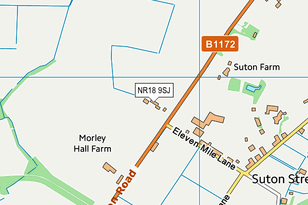 NR18 9SJ map - OS VectorMap District (Ordnance Survey) NR18 9SJ map - OS VectorMap District (Ordnance Survey)
