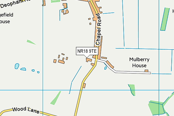 NR18 9TE map - OS VectorMap District (Ordnance Survey) NR18 9TE map - OS VectorMap District (Ordnance Survey)