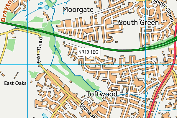 NR19 1EG map - OS VectorMap District (Ordnance Survey)