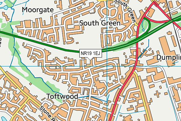NR19 1EJ map - OS VectorMap District (Ordnance Survey)