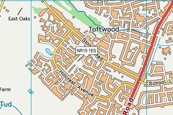 NR19 1ES map - OS VectorMap District (Ordnance Survey) NR19 1ES map - OS VectorMap District (Ordnance Survey)