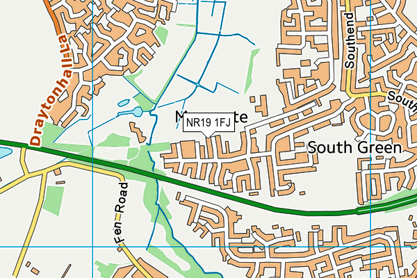 NR19 1FJ map - OS VectorMap District (Ordnance Survey) NR19 1FJ map - OS VectorMap District (Ordnance Survey)