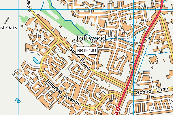 NR19 1JU map - OS VectorMap District (Ordnance Survey)