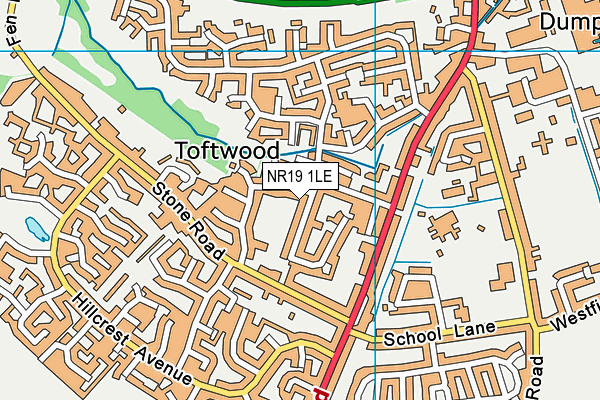 NR19 1LE map - OS VectorMap District (Ordnance Survey)