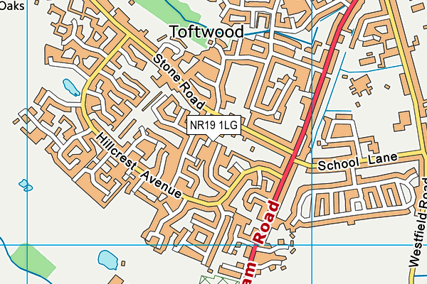 NR19 1LG map - OS VectorMap District (Ordnance Survey)