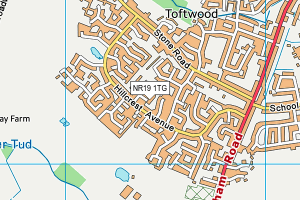 NR19 1TG map - OS VectorMap District (Ordnance Survey) NR19 1TG map - OS VectorMap District (Ordnance Survey)