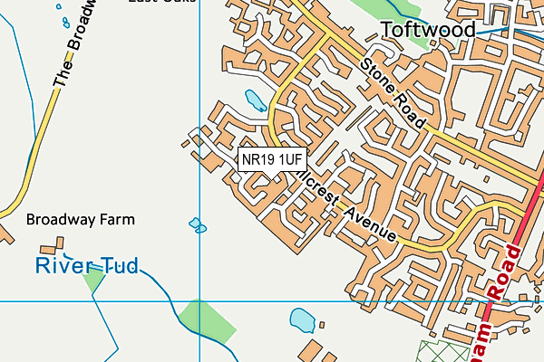 NR19 1UF map - OS VectorMap District (Ordnance Survey) NR19 1UF map - OS VectorMap District (Ordnance Survey)