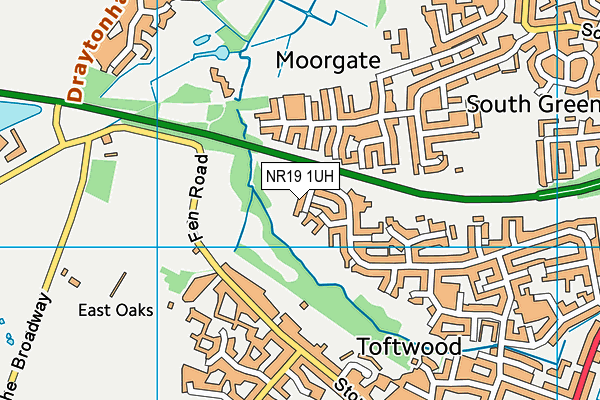 NR19 1UH map - OS VectorMap District (Ordnance Survey) NR19 1UH map - OS VectorMap District (Ordnance Survey)