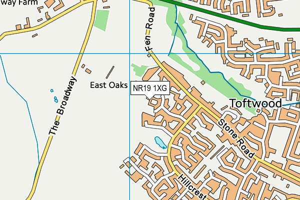 NR19 1XG map - OS VectorMap District (Ordnance Survey) NR19 1XG map - OS VectorMap District (Ordnance Survey)