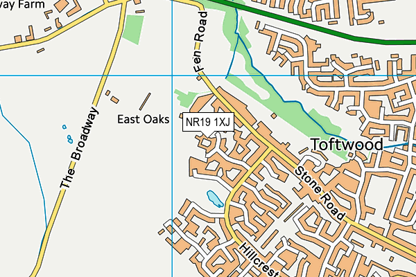NR19 1XJ map - OS VectorMap District (Ordnance Survey)