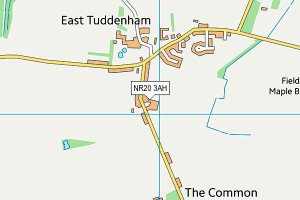 NR20 3AH map - OS VectorMap District (Ordnance Survey) NR20 3AH map - OS VectorMap District (Ordnance Survey)