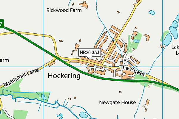 NR20 3AJ map - OS VectorMap District (Ordnance Survey) NR20 3AJ map - OS VectorMap District (Ordnance Survey)