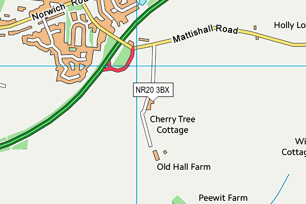 NR20 3BX map - OS VectorMap District (Ordnance Survey) NR20 3BX map - OS VectorMap District (Ordnance Survey)