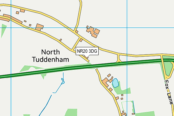 NR20 3DG map - OS VectorMap District (Ordnance Survey) NR20 3DG map - OS VectorMap District (Ordnance Survey)