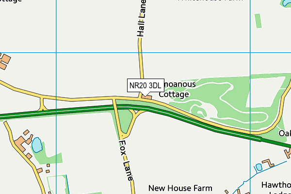 NR20 3DL map - OS VectorMap District (Ordnance Survey)