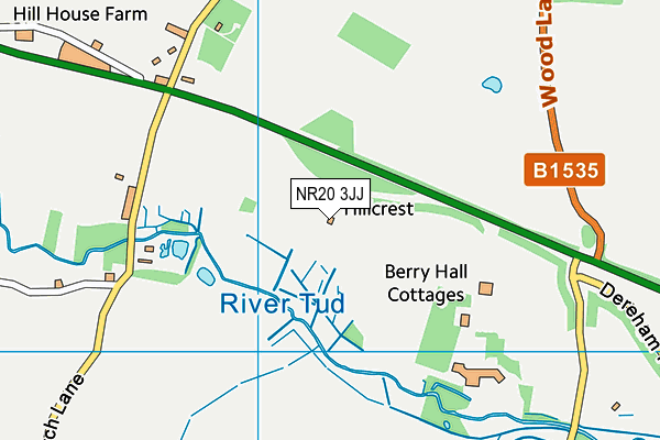 NR20 3JJ map - OS VectorMap District (Ordnance Survey) NR20 3JJ map - OS VectorMap District (Ordnance Survey)