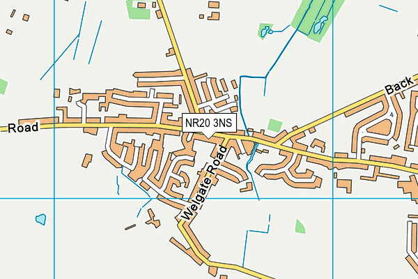 NR20 3NS map - OS VectorMap District (Ordnance Survey) NR20 3NS map - OS VectorMap District (Ordnance Survey)