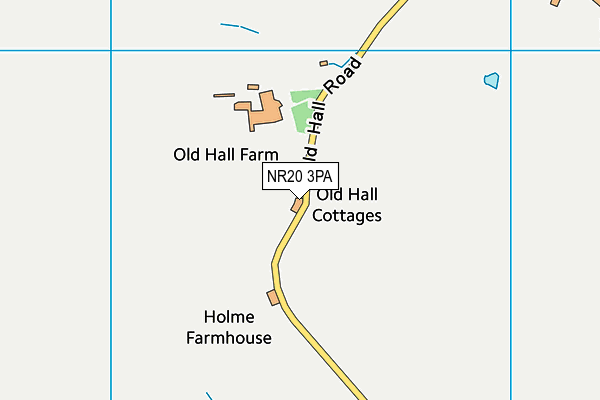 NR20 3PA map - OS VectorMap District (Ordnance Survey) NR20 3PA map - OS VectorMap District (Ordnance Survey)