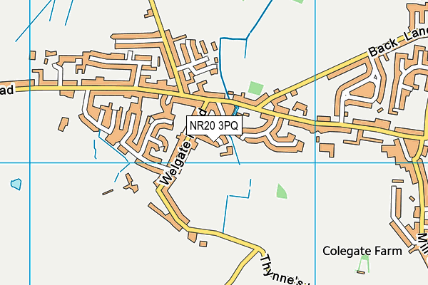 NR20 3PQ map - OS VectorMap District (Ordnance Survey) NR20 3PQ map - OS VectorMap District (Ordnance Survey)
