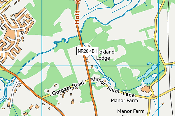 NR20 4BH map - OS VectorMap District (Ordnance Survey) NR20 4BH map - OS VectorMap District (Ordnance Survey)