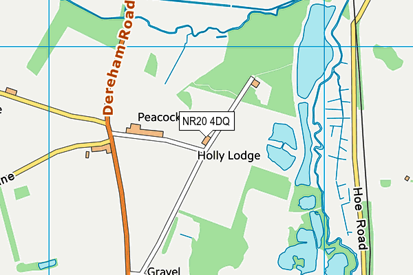 NR20 4DQ map - OS VectorMap District (Ordnance Survey) NR20 4DQ map - OS VectorMap District (Ordnance Survey)