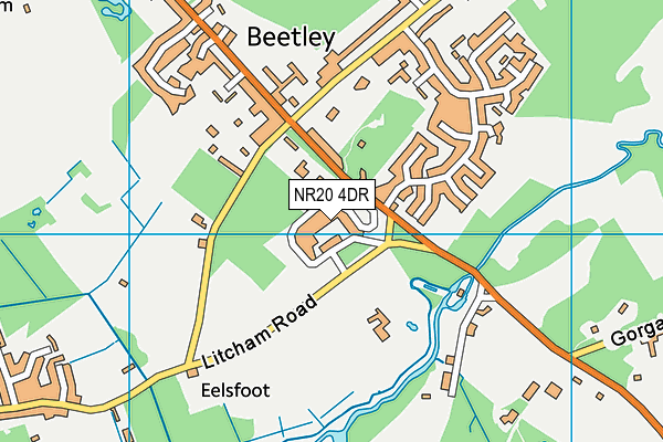 NR20 4DR map - OS VectorMap District (Ordnance Survey)
