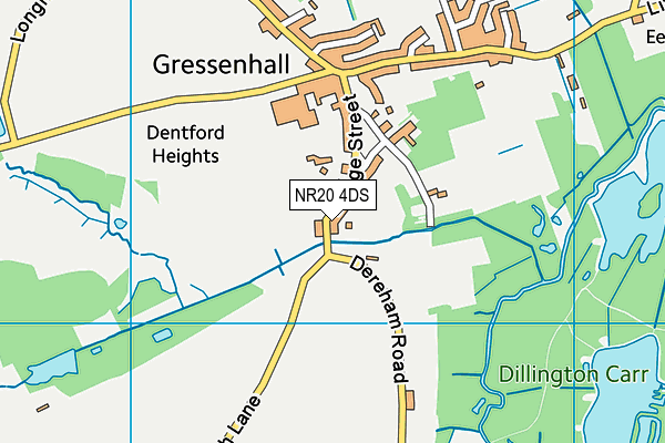 NR20 4DS map - OS VectorMap District (Ordnance Survey) NR20 4DS map - OS VectorMap District (Ordnance Survey)