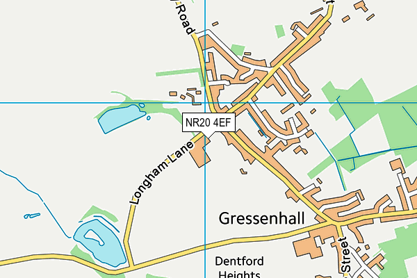 NR20 4EF map - OS VectorMap District (Ordnance Survey) NR20 4EF map - OS VectorMap District (Ordnance Survey)